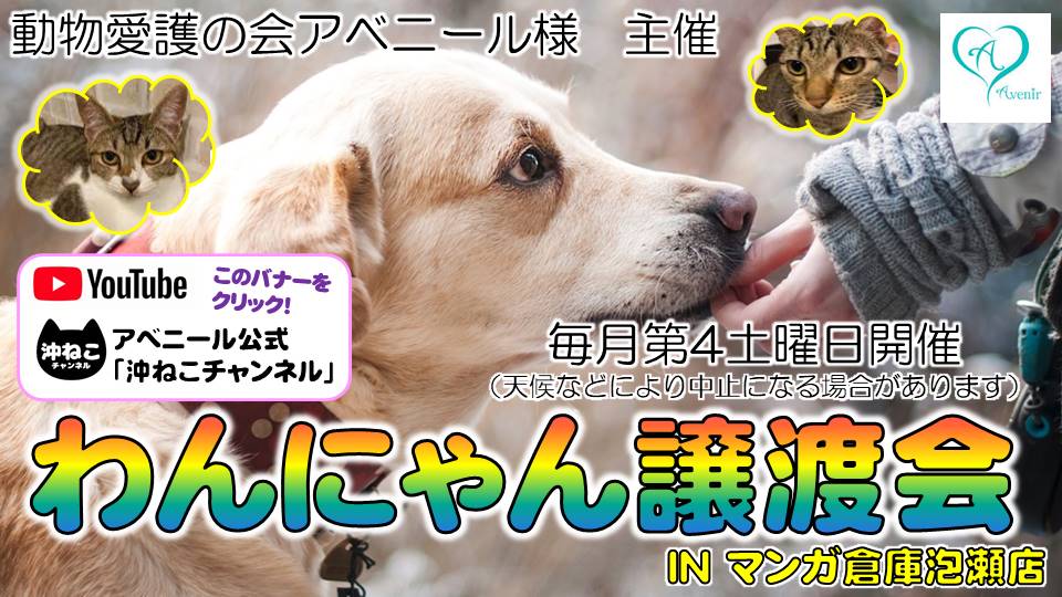 わんにゃん譲渡会
